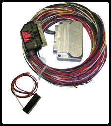 MICRO HARNESS CONTROLLER WITH CENTER BRAKE LIGHT